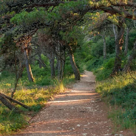 Daire Bianco Nero - Happy *