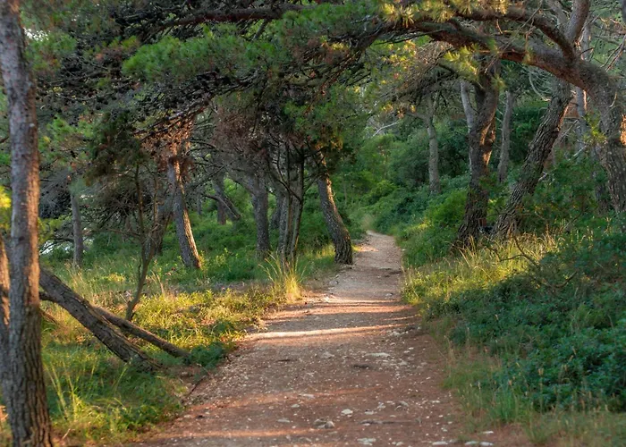 Apartment Bianco Nero - Happy *